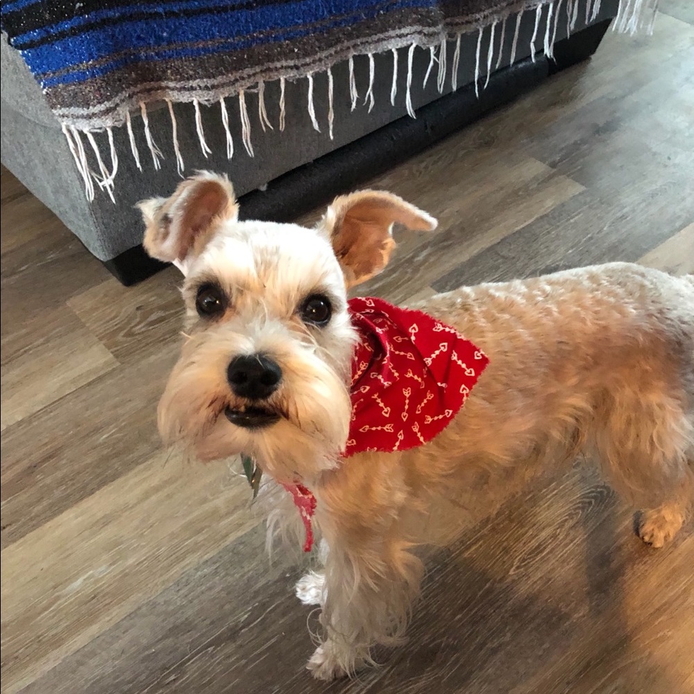 Meet your Posher, Lacinda